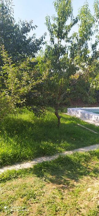 Продаеться дача на янги узбекистан