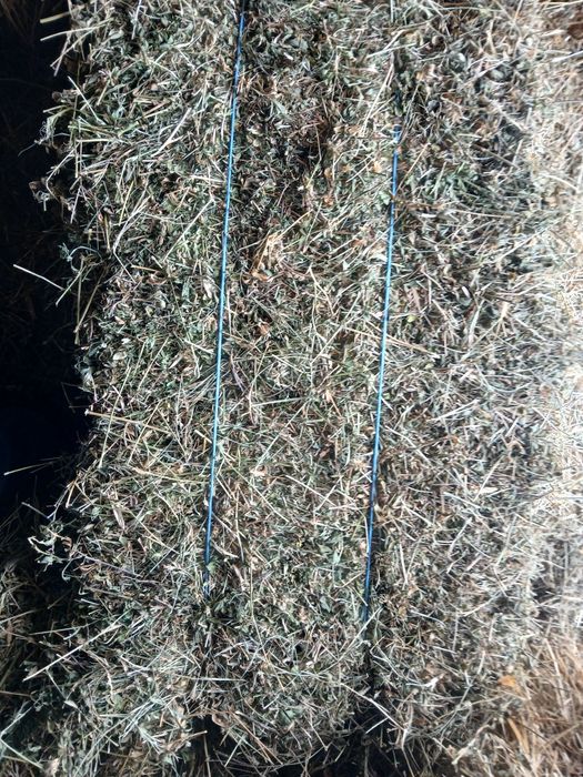 Vand baloti dreptunghiulari lucerna