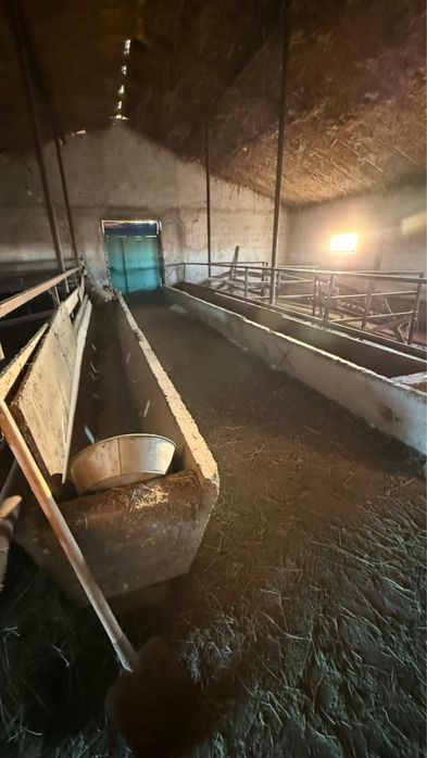 Қора арендаға беріледі