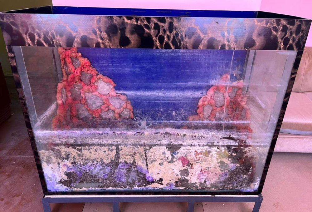 Аквариум большой