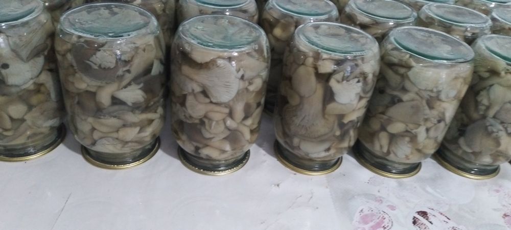 Маринованные грибы Вешанка