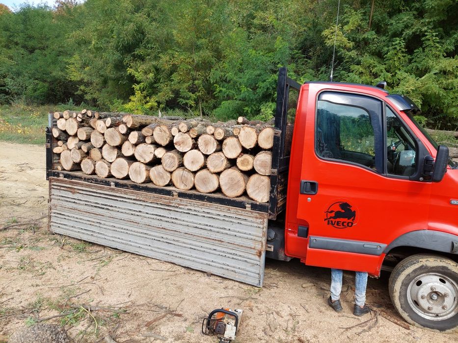 Lemn de foc esenta dorita de dvs