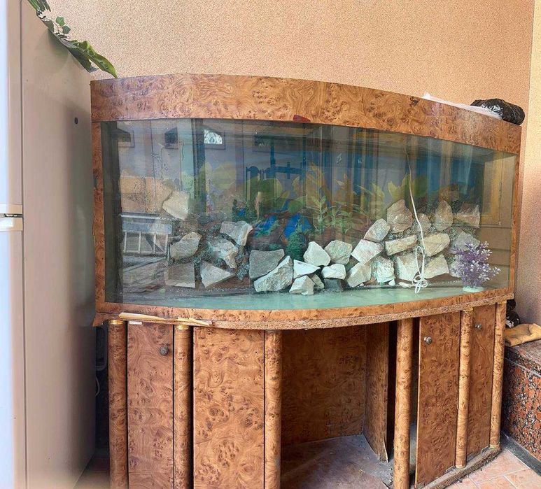 Продаётся большой аквариум - идеально для создания подводного мира!