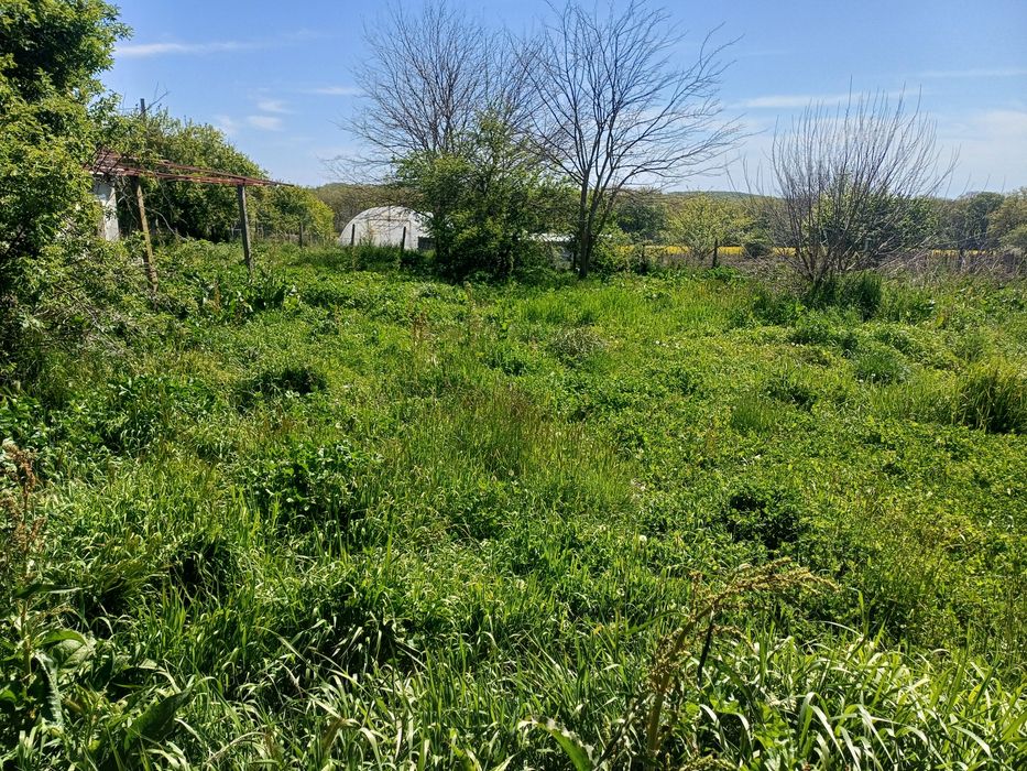 Косене почистване градини и дворове