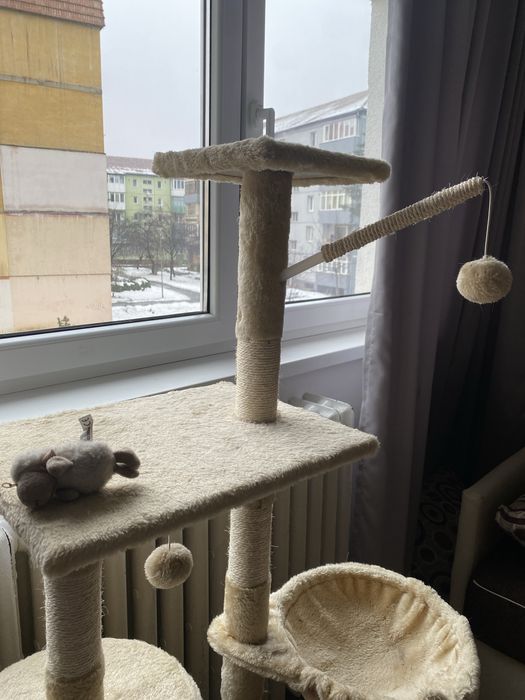 Casuta pentru pisici