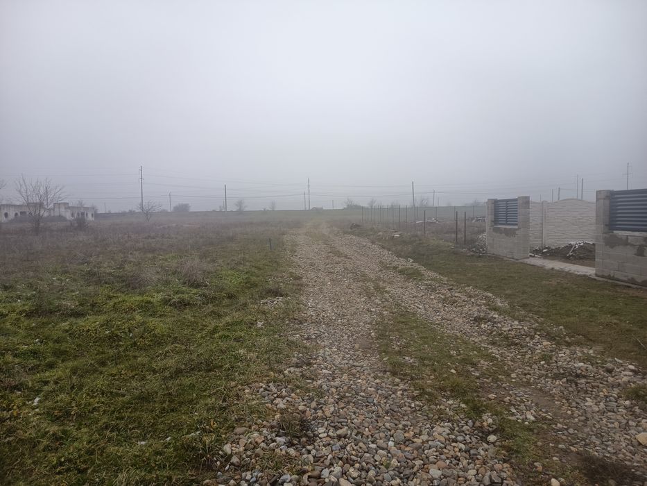 Teren Simian  zona Avicola