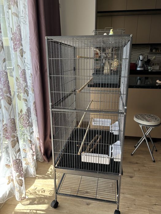 Cuşcă de papagali 78x52x132cm