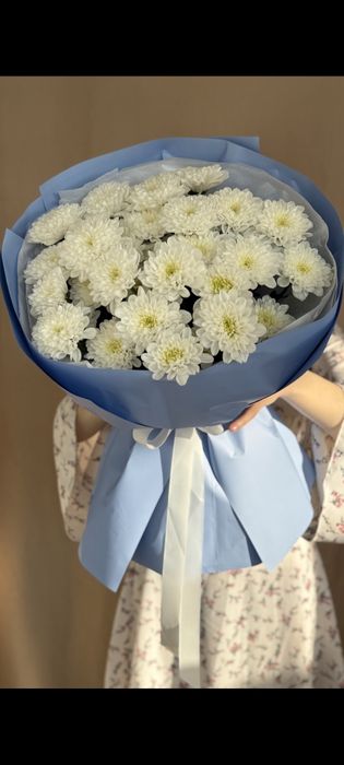 Кустовая хризантема(живая)