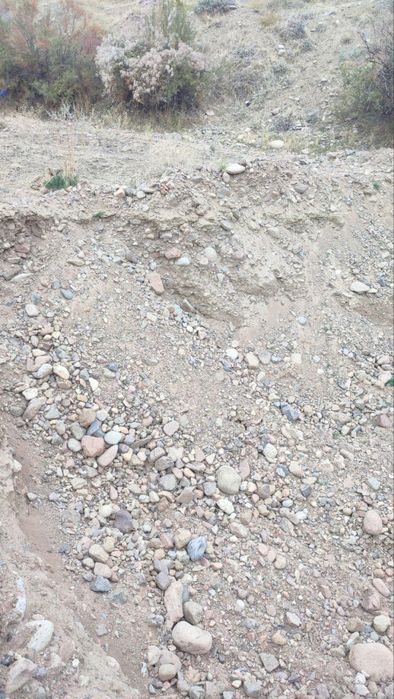 Шагал Shagal GPS ГПС . клинес.шебен.кум .турпок