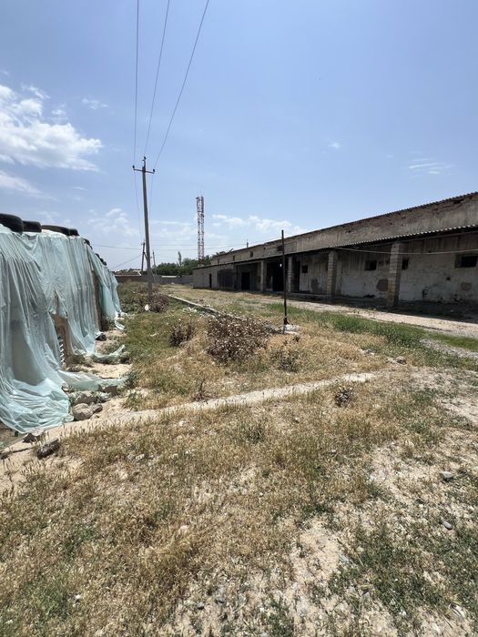 Qashqadaryo Viloyati Kitob tumani qumqishlogda 60 sotix yer sotiladi