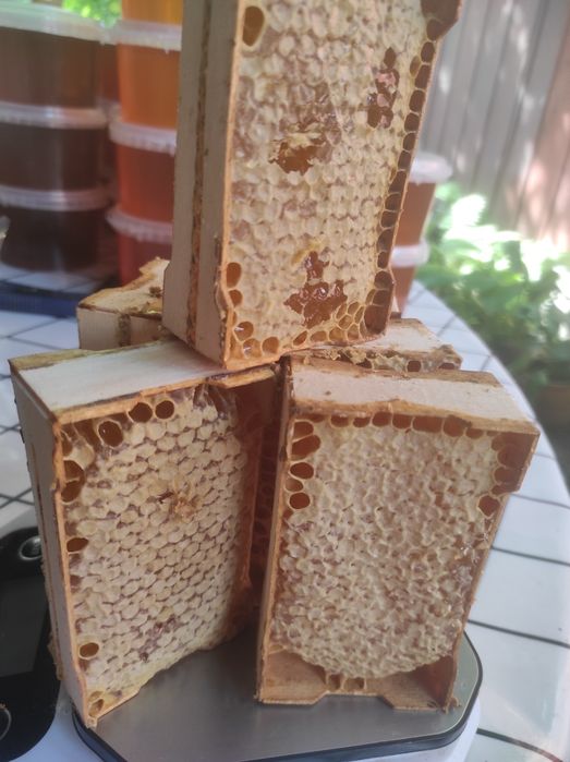 Сотовый мёд, пыльца, прополис, мед