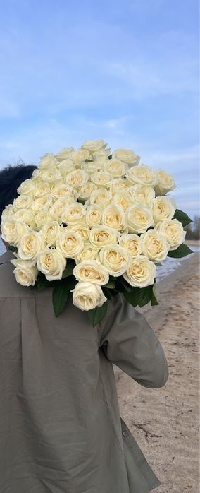 Цветы белые розы свежый