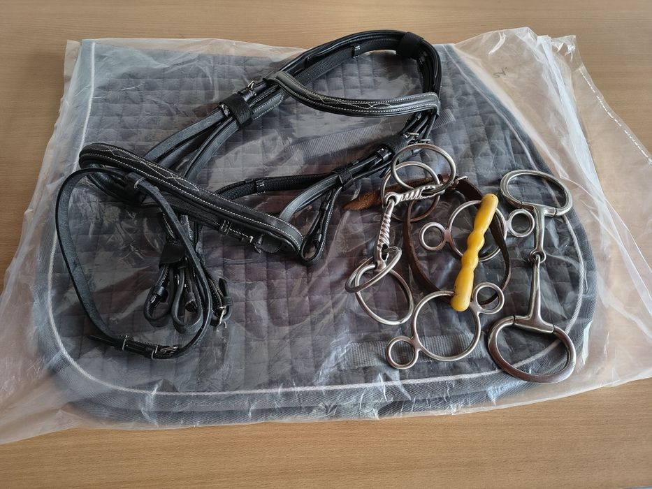 Șa dresaj, frâu, capastru, cizme, toca.