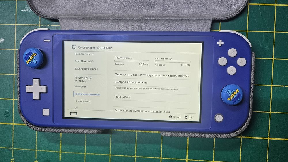 Nintendo switch lite