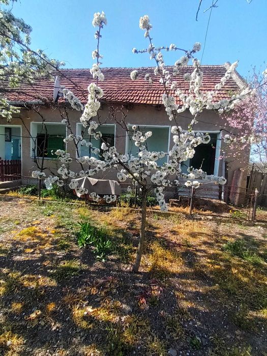 Casa de vanzare+ teren