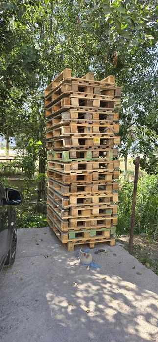 Paddon Lyoboy Razmer Bor