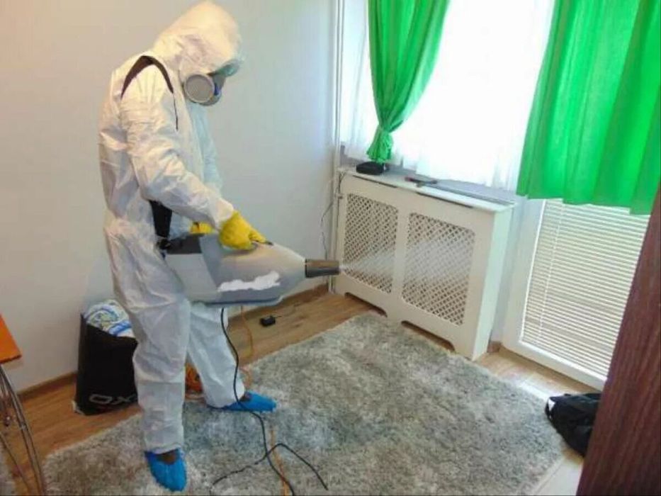 Dezinfeksiya дезинфекция 24/7 dizinfeksiya клапа таракан klapa tarakan