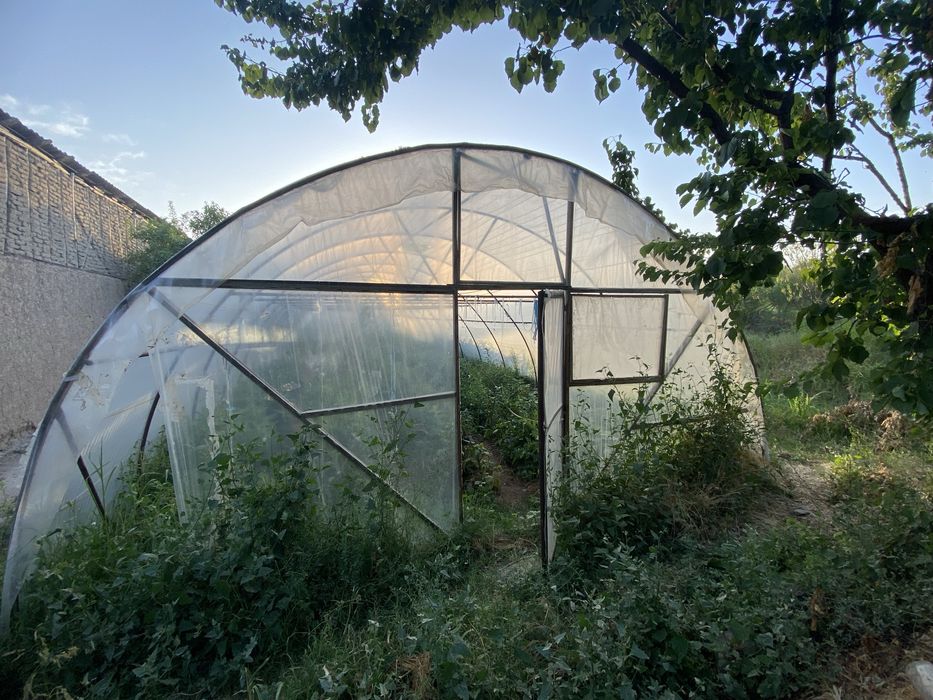 Парник гаранти 5