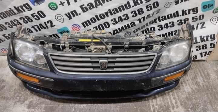 Ноускат Nosecut Nissan Stagea