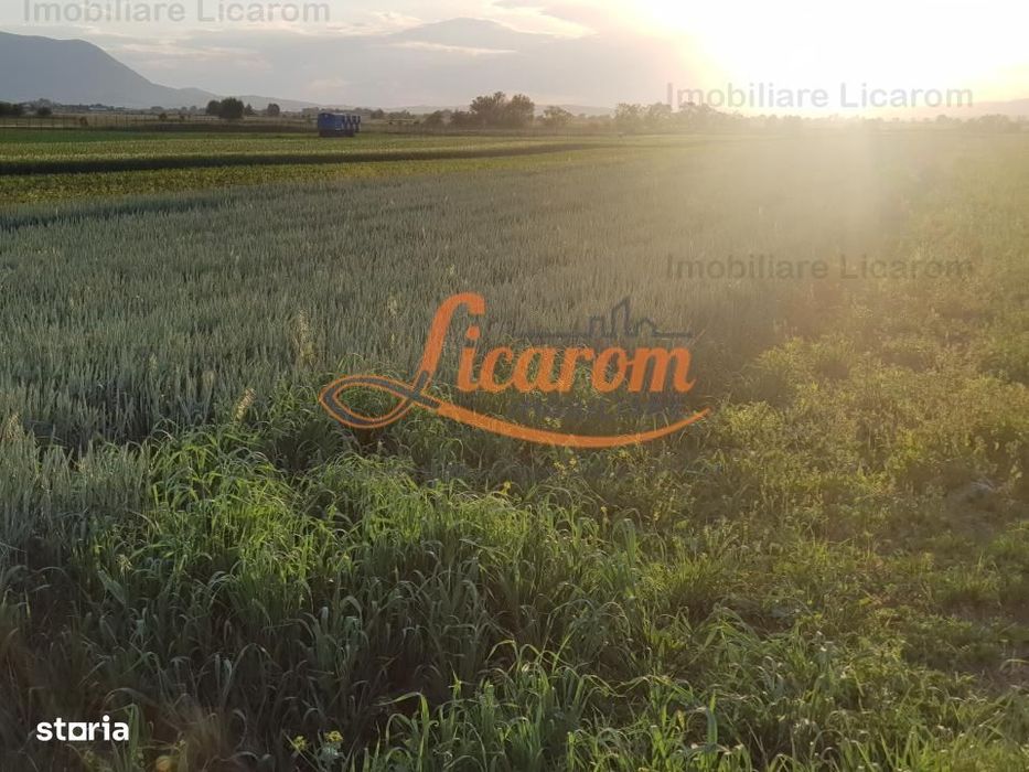 Teren Stupini Calea Feldioarei 4600 mp,21 euro/mp, front la asfalt