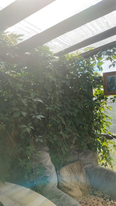 Продам дом в новопавловке