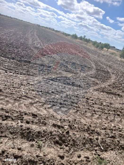 Teren de vanzare 4500mp Strada Rasaritului Darvari Ciorogarla A0