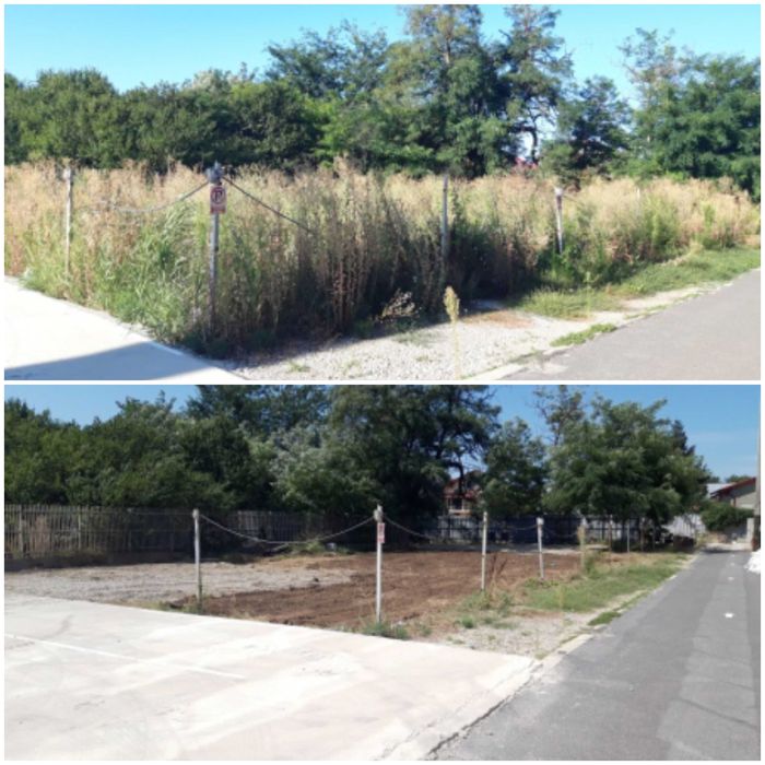 Defrisare Curatare teren Vegetatie Arbusti Ambrozie, Tocare crengi