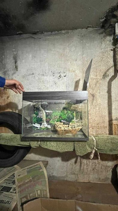 Аквариум для рыбов