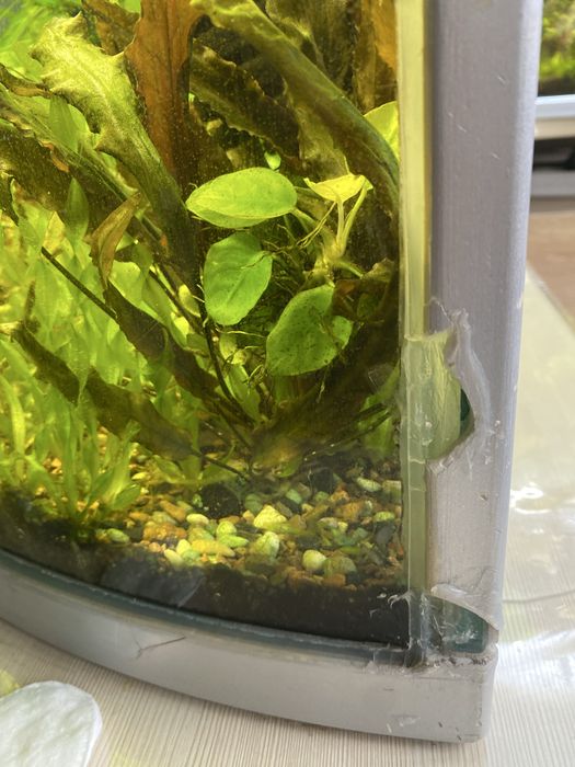 Аквариум 150 л , JEBO