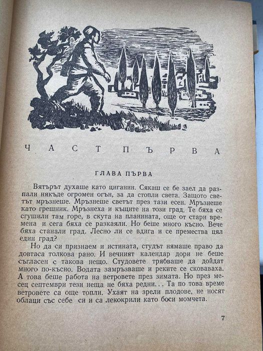 Едно момче брои звездите