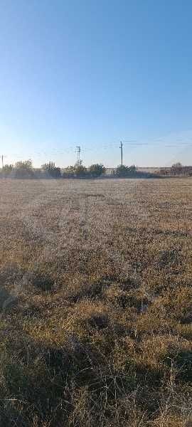 Продава се Парцел в с. Маноле, Област Пловдив - 5000 кв.м за 10 €/кв.м - Снимка #1