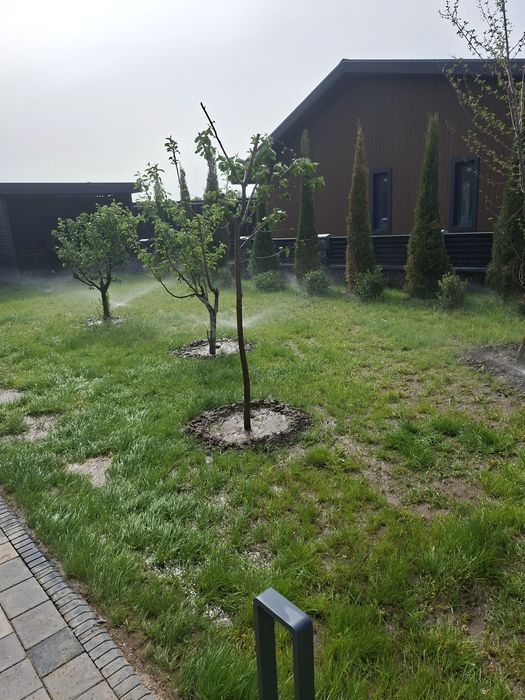Полив для газона