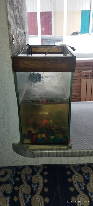 Аквариум для рыбок 100