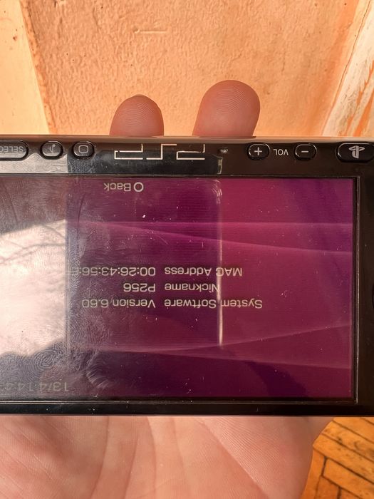 Playstation Portable 3004