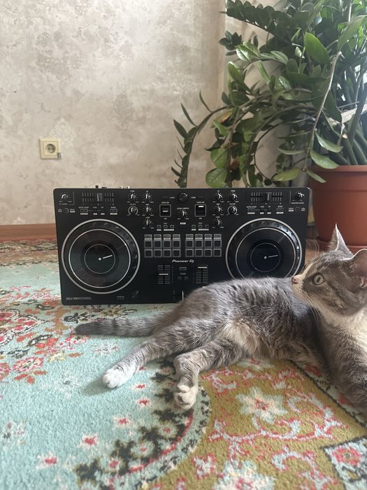 Пульт Pioneer DJ , DDJ-REV1