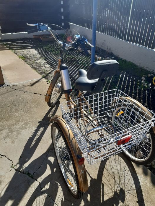 Tricicleta electrica