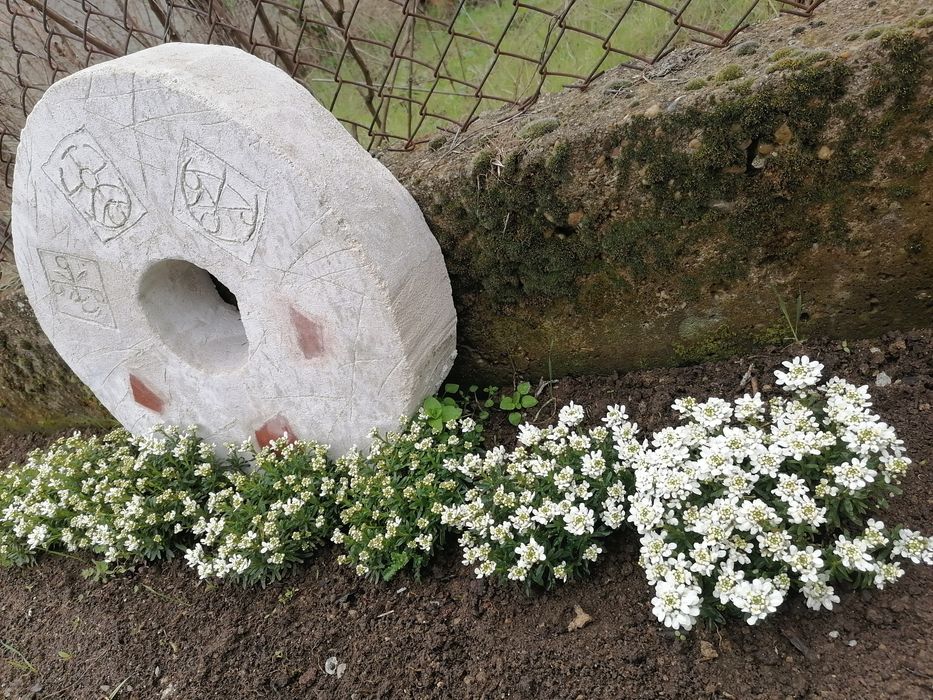 Продава се Къща в Алфатар - 120 кв.м за 276 €/кв.м - Снимка #23