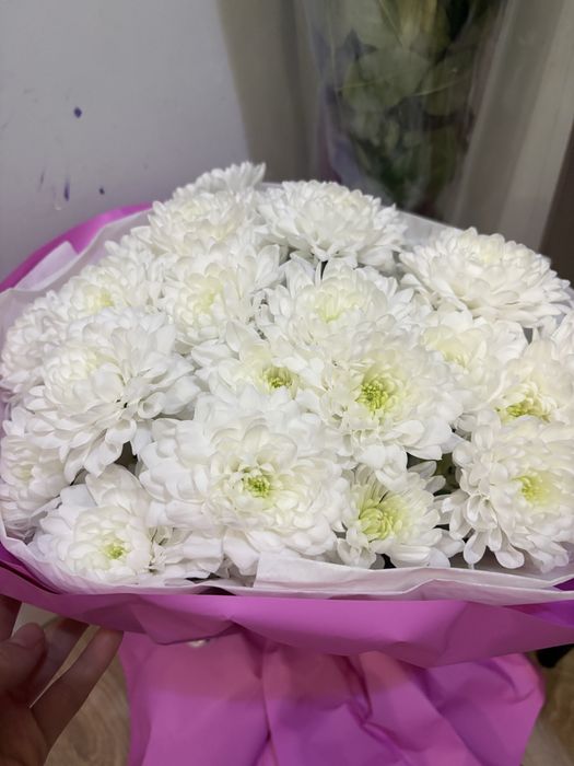 Цветы сегодняшние