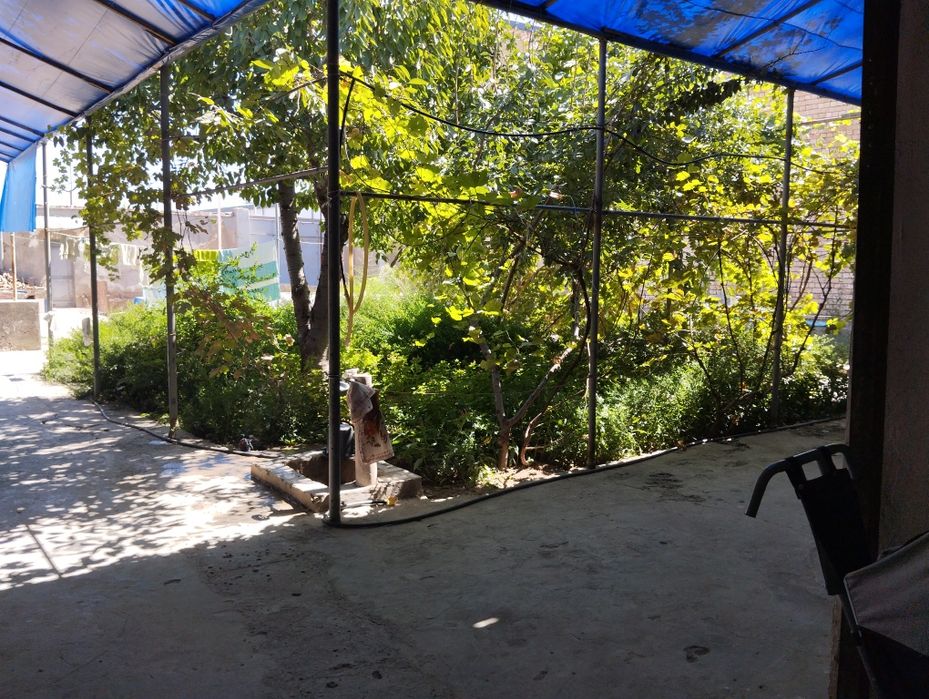 6 sotix hovli 4 sotix zaxvati bor Rohat postidan kirganda Majnuntol