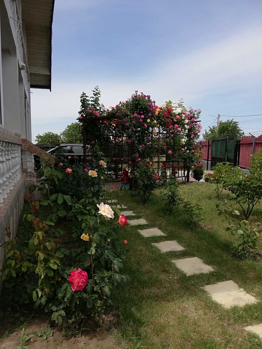 Urgent .Proprietar, parter la casa cu etaj, Mogosesti - Iasi, 10 km