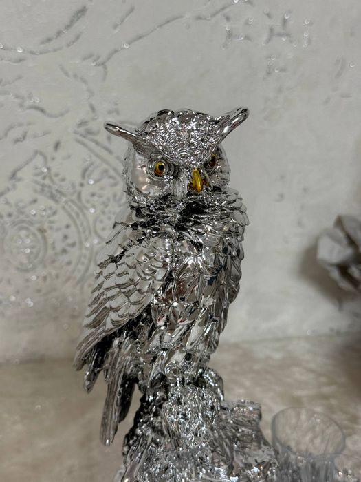 Набор Chinelli Owl