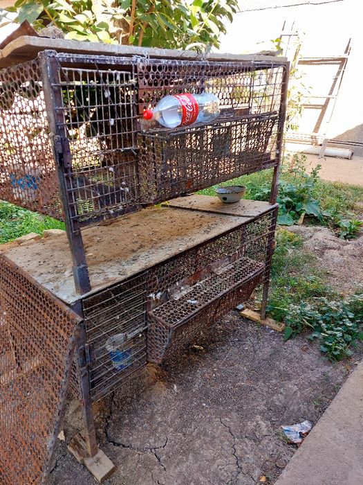 Срочна сотилади куёонхона