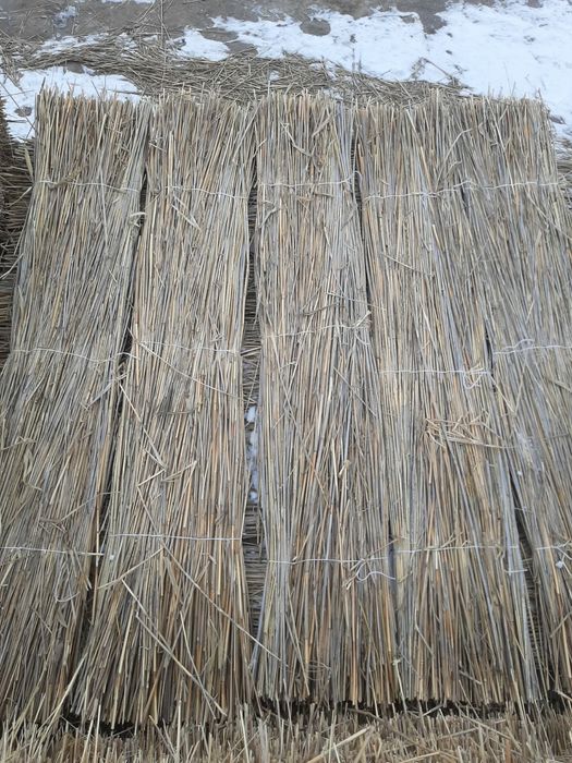 Камыс, Камыш маты
