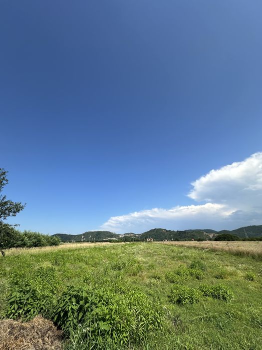 Teren intravilan de vânzare – 8.300 mp – Vălenii de Munte-Gura Vitioarei, Str. Nicolae Bălcescu
