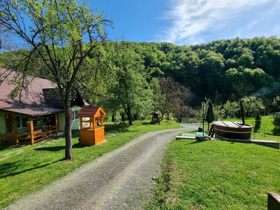 Cabana Ciupercuta / Blidari-Maramures/Cabana cu ciubar