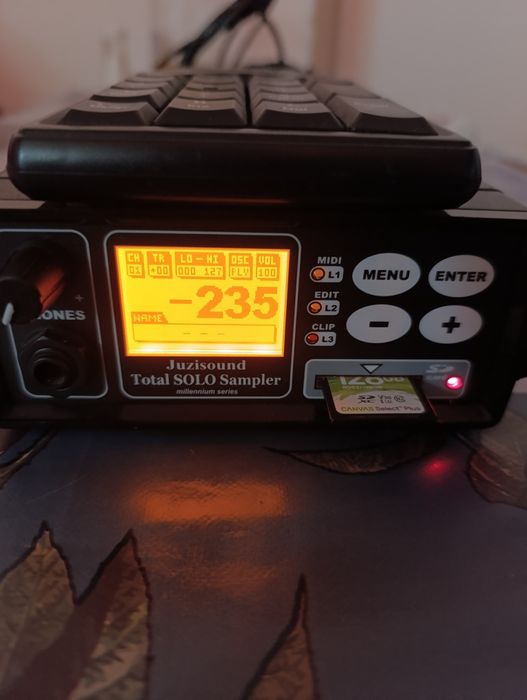 KORG pa2x, 256 RAM памет