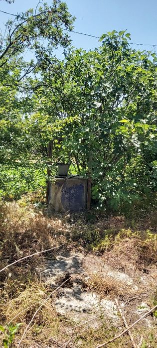 Продава се Къща в Сливен, Сини камъни - 45 кв.м за 453 €/кв.м - Снимка #4