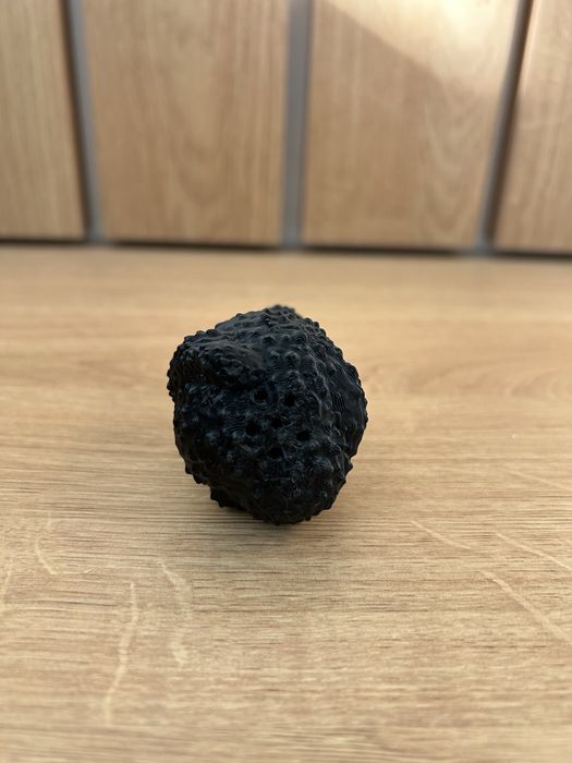 Пластмасов трюфел за тренировка и обучение на кучета