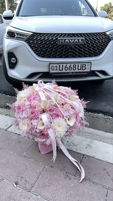 Haval M6 sotiladi