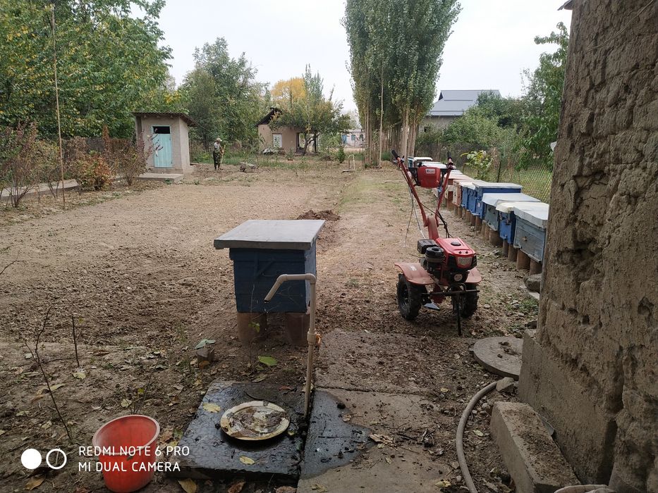 Ящик для пчеловодства